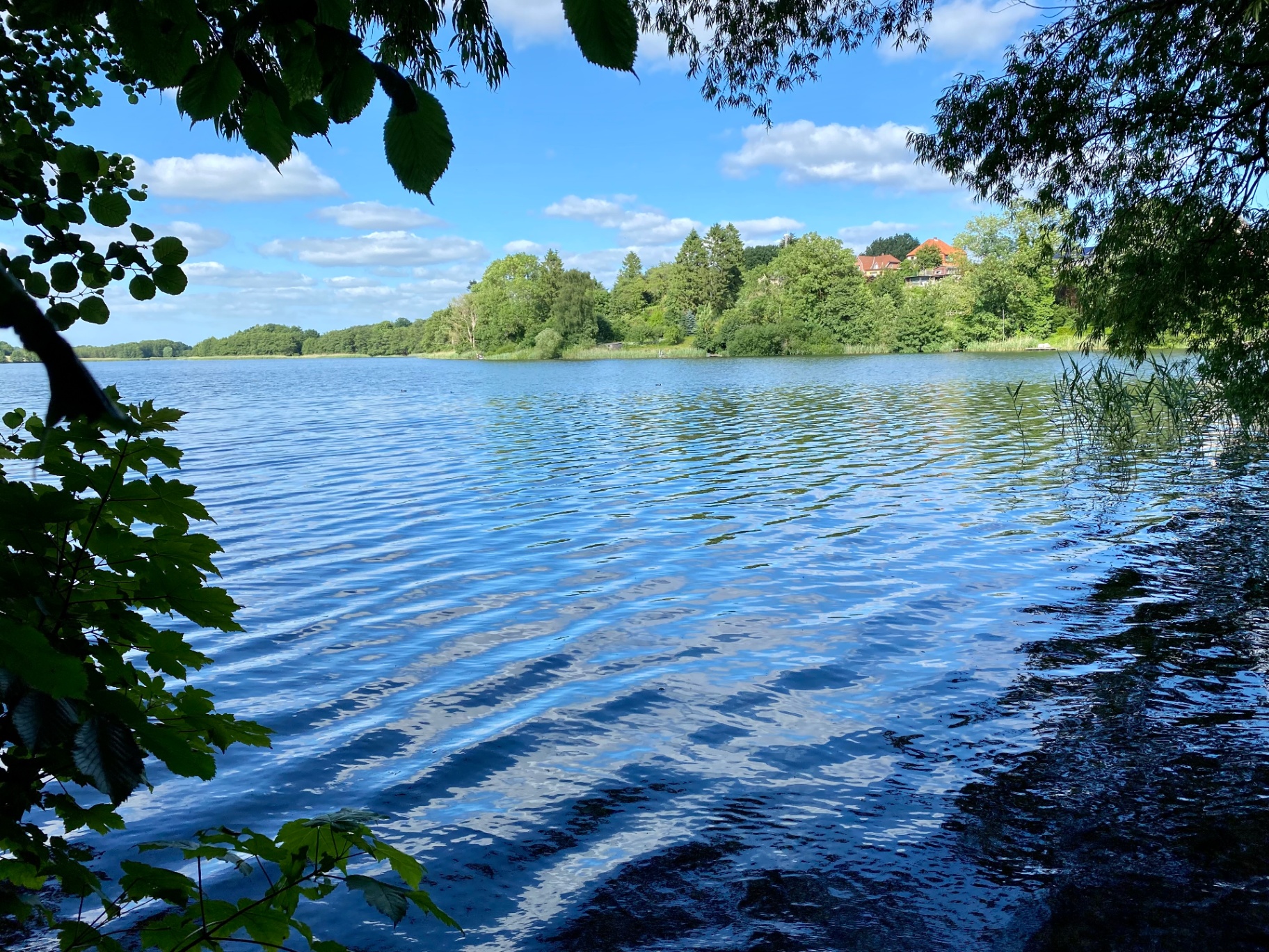 Ruhiger See mit Spiegelung und Bäumen