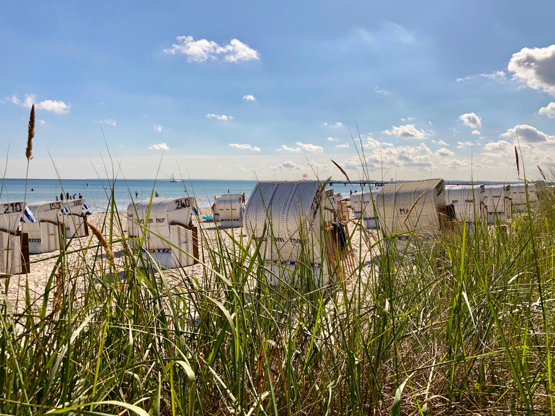 Strandkörbe am Ostseestrand Scharbeutz
