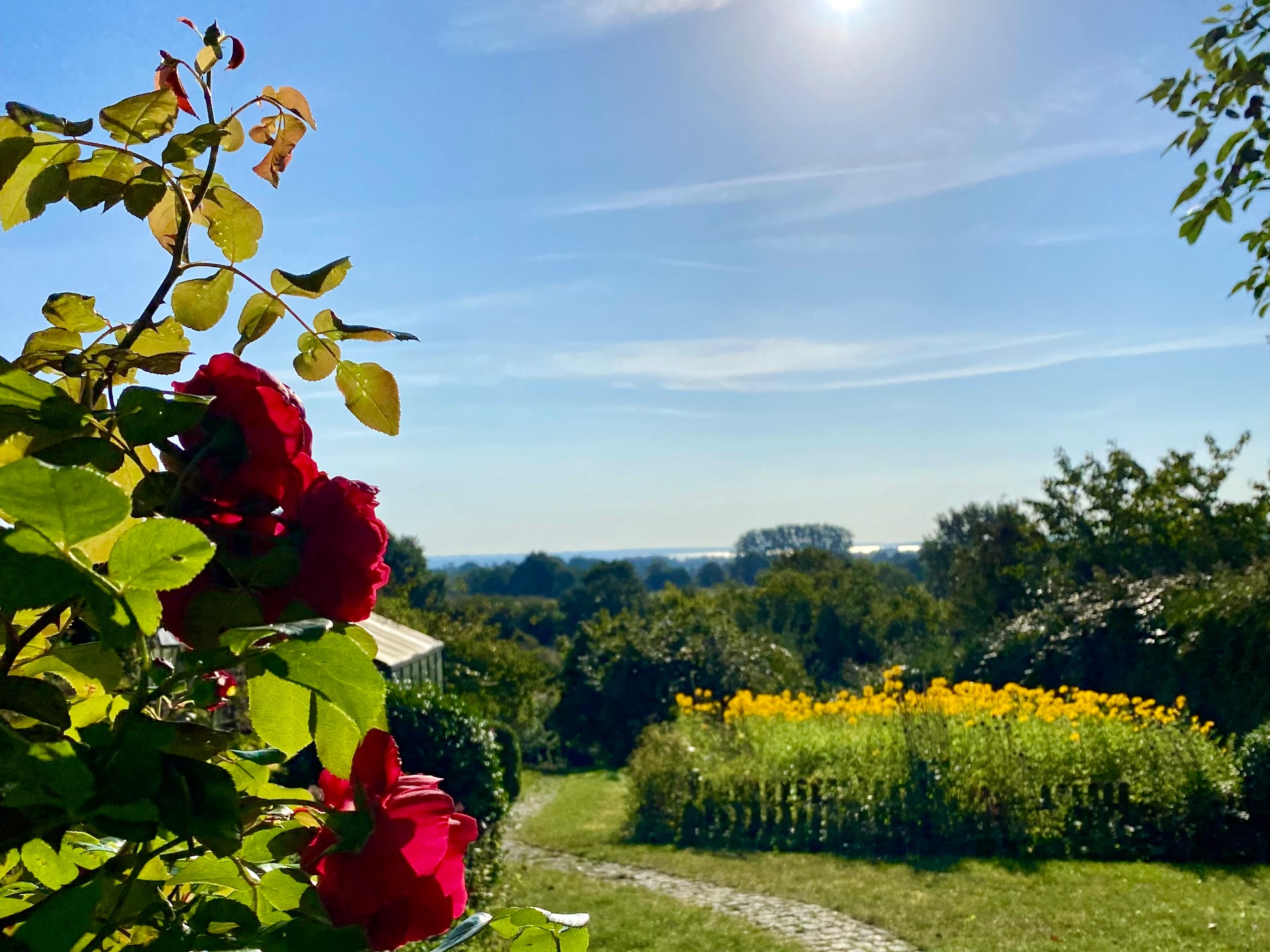 Frühling
